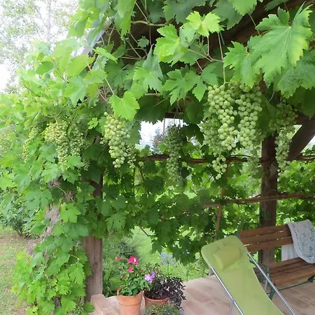 Villa Casa Verde San Ginesio