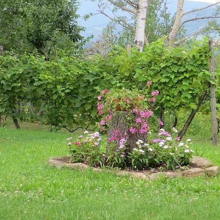 Casa Verde Villa San Ginesio