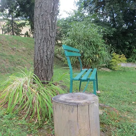 Villa Casa Verde *