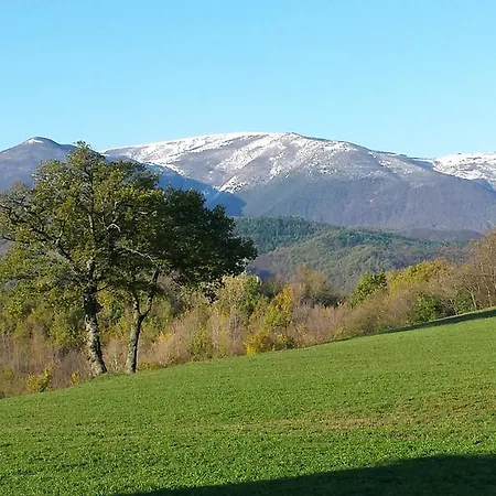 Villa Casa Verde *
