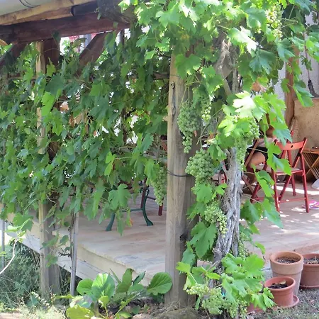Villa Casa Verde San Ginesio